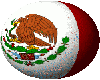 Mexico flag spin globe