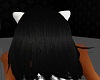 *KY*Whyte Cat Ears*