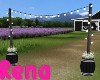 Barn Wedding Light Arch