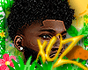 xOz Papii Curls v2  '25