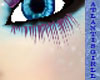 Purple lower lashes