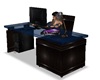 PhoenixLounge Desk
