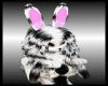 bunny earsF