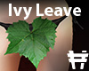 Green Ivy Leaf Pants
