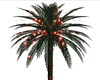 Twinkling Palm in Red