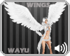 [wayu]White Wings 