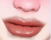 Zell Lips Transparent