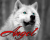 !UA! White Wolf 
