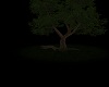 Alone Tree