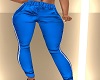 BLUE RLL JOGGERS BY BD