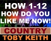 Toby Keith - How Do You
