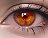 ღ Perfect eyes