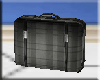 [SF] Luggage Black