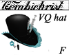 VQ Hat