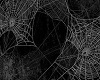 Background spider web