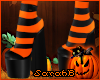 ;) Pumpkin Witch Pumps