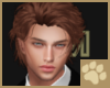 ~AM~ Otono Hair M v5