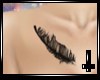 [W] Tatto bird feather