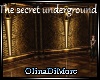 (OD) Secret underground