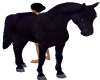 ANIMATED BLACK HORSE