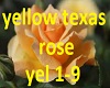 YellowTexasRose  yel 1-9