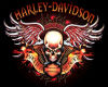 Harley Davidson ClubV