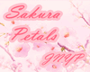 JNYP! Sakura Petals