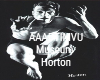AAADT IMVU Museum Horton