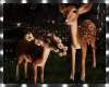 Deer Forest Orell