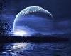 ~LWI~Blue Moon Picture