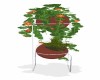 PLANT  STAND