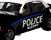 Black and White Police c