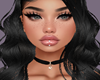 Canisse Black