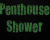 Penthouse Shower
