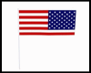 LZ/USA FLAG
