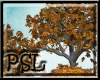PSL Autumn Tree Enh