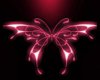 *P* Pink ButterflyLounge