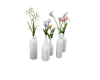 Bottled Flowers - White