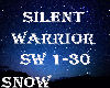 S* Silent Warrior