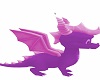 Unisex Pink Dragon Avita