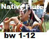 BuffaloWhite Nativeflute