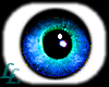 ¨L¨Tropical darkblue eye