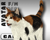 Cat Avi Animated & Sound