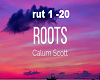 Roots ~ Calum Scott