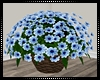 Blue Flowers I