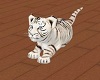 {HB} Baby white tiger