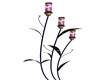 elegant violet candles