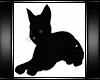 Kitten Animated Black