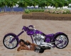 Purple Skull Bike