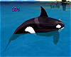 {LDs}Whale RideWSound